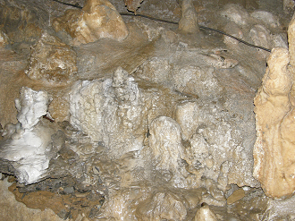 P8244920_thumb.png