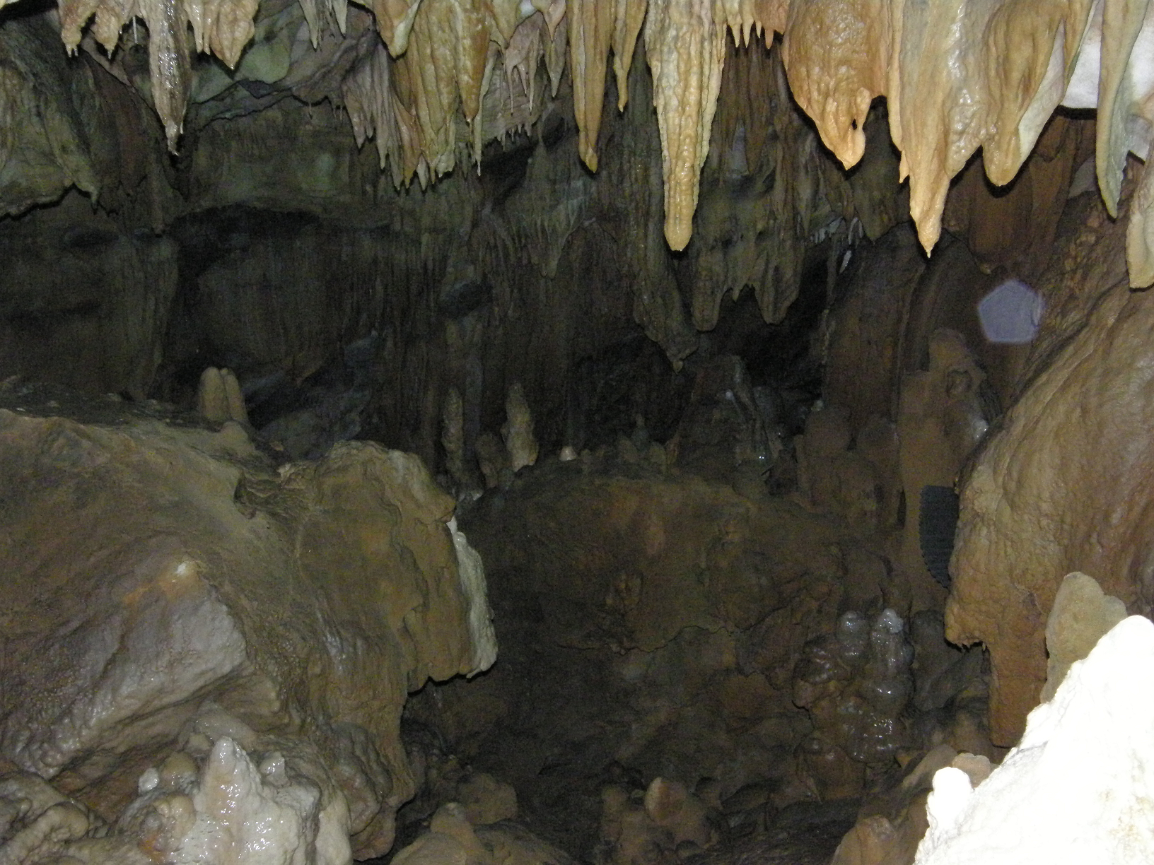P8244941.jpg