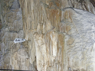 P8244950_thumb.png