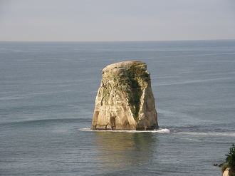 P8254988_thumb.png