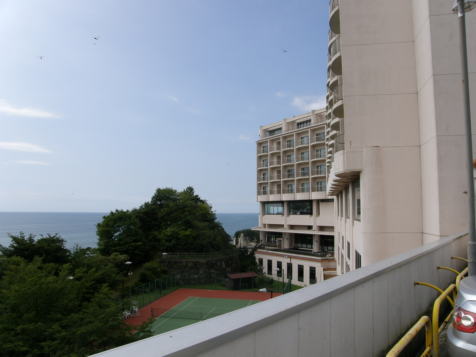 P8254991.jpg