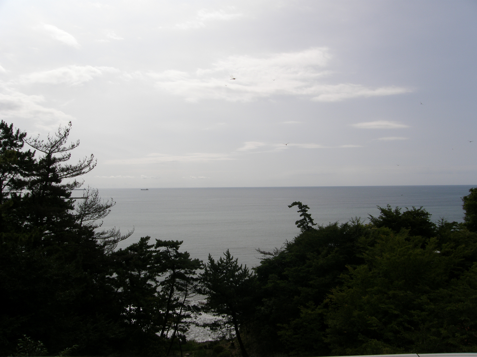 P8254992.jpg