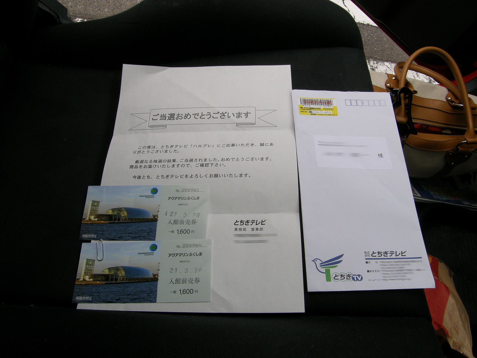 P8254995.jpg