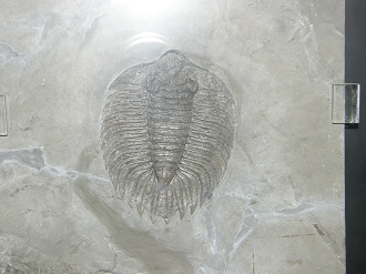 P8255005_thumb.png