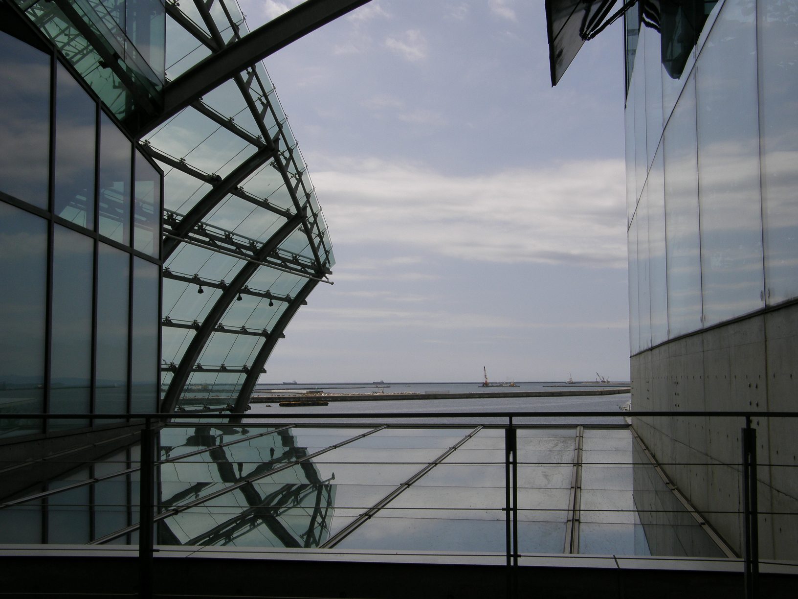 P8255033.jpg