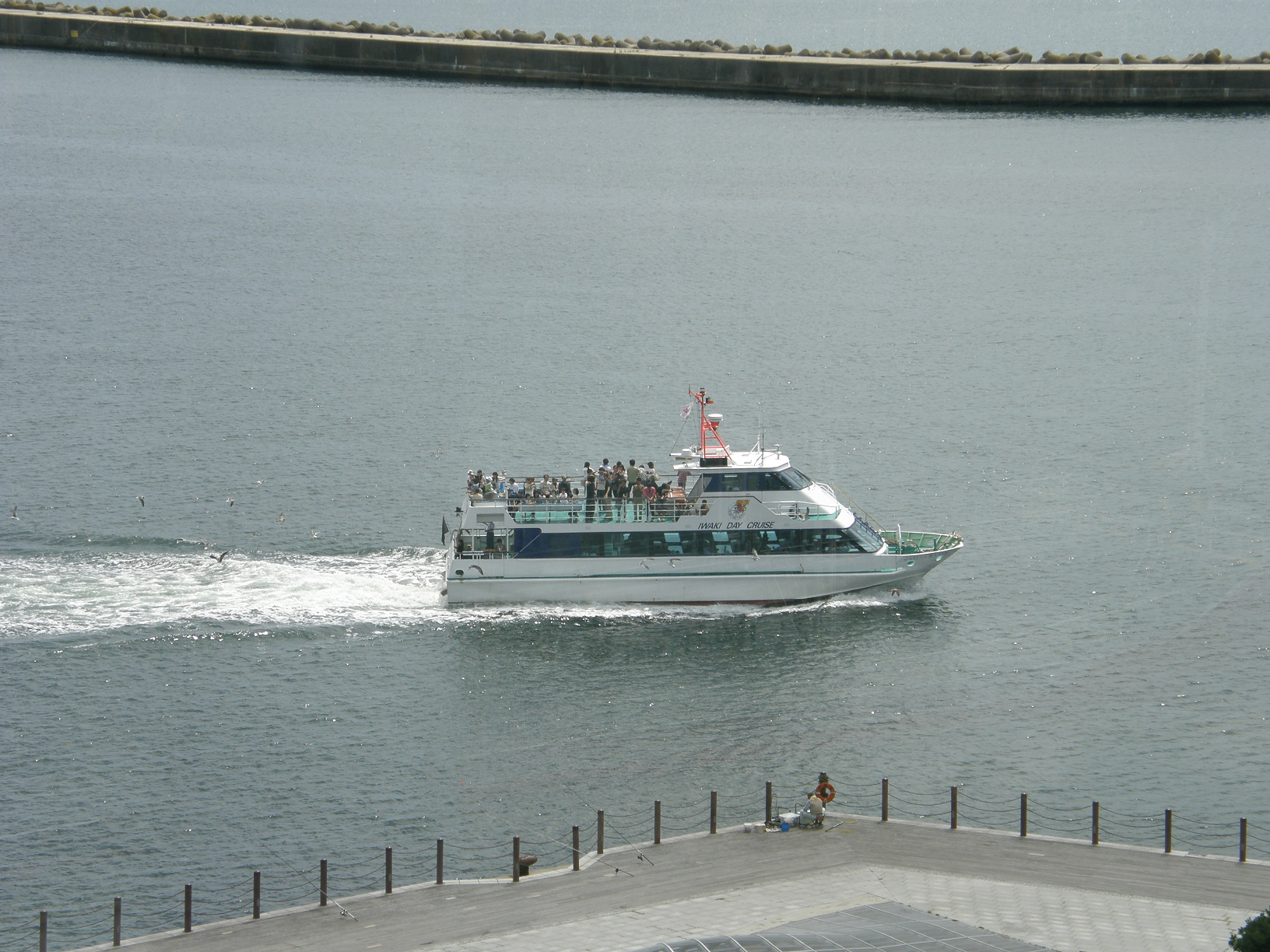 P8255071.jpg