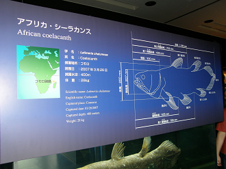 P8255087_thumb.png