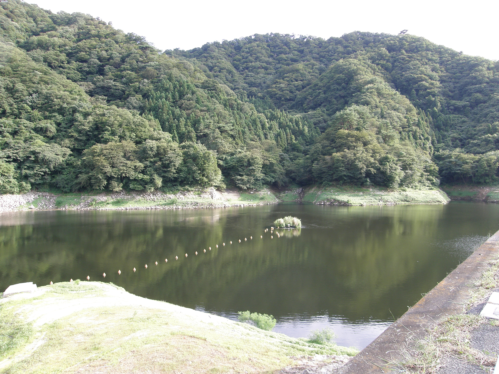 P8255116.jpg