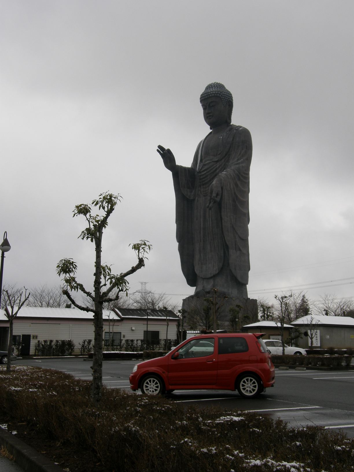 P2185650.jpg