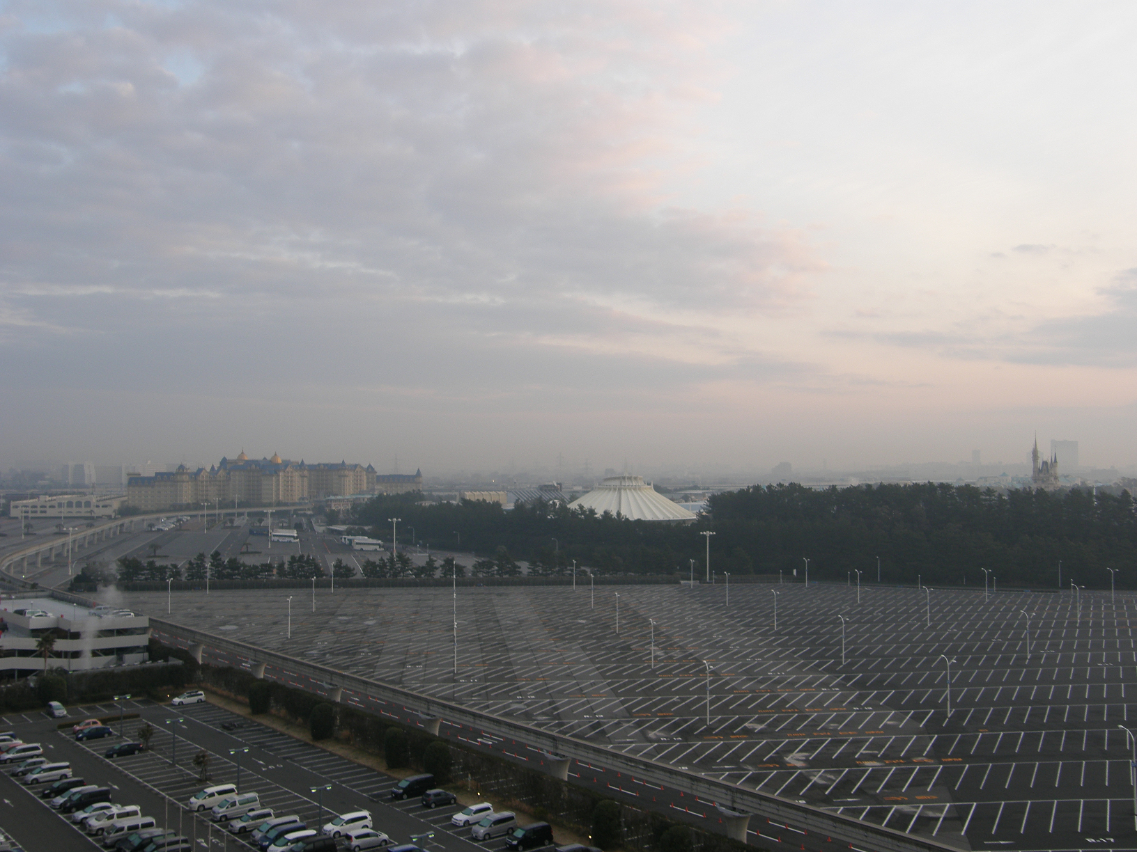 P2195709.jpg