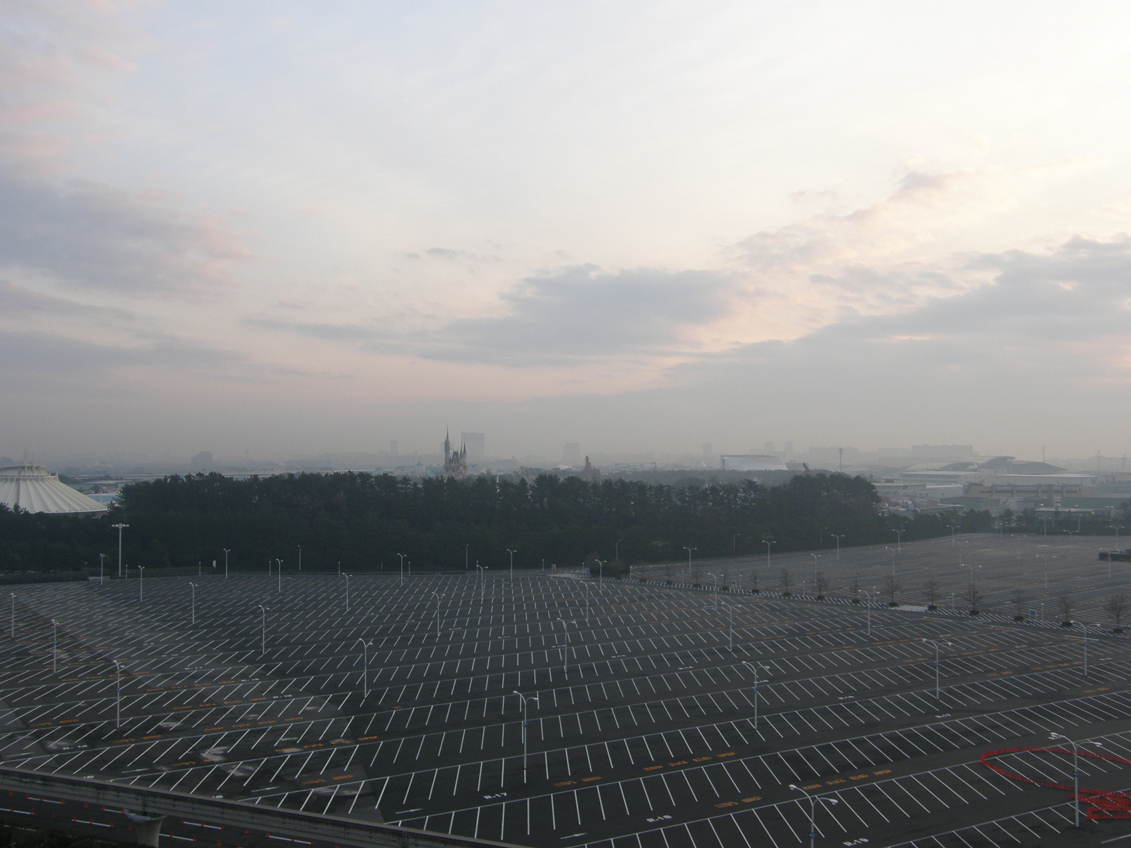 P2195710.jpg