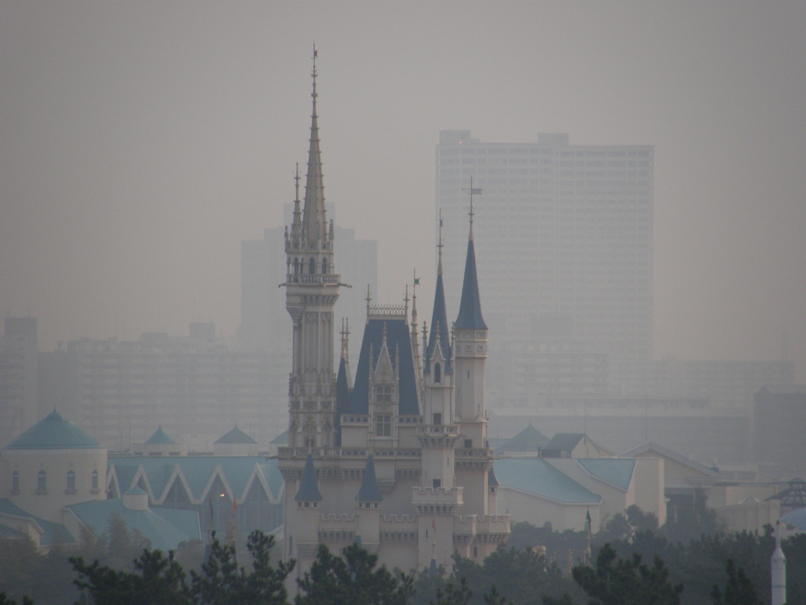 P2195714.jpg