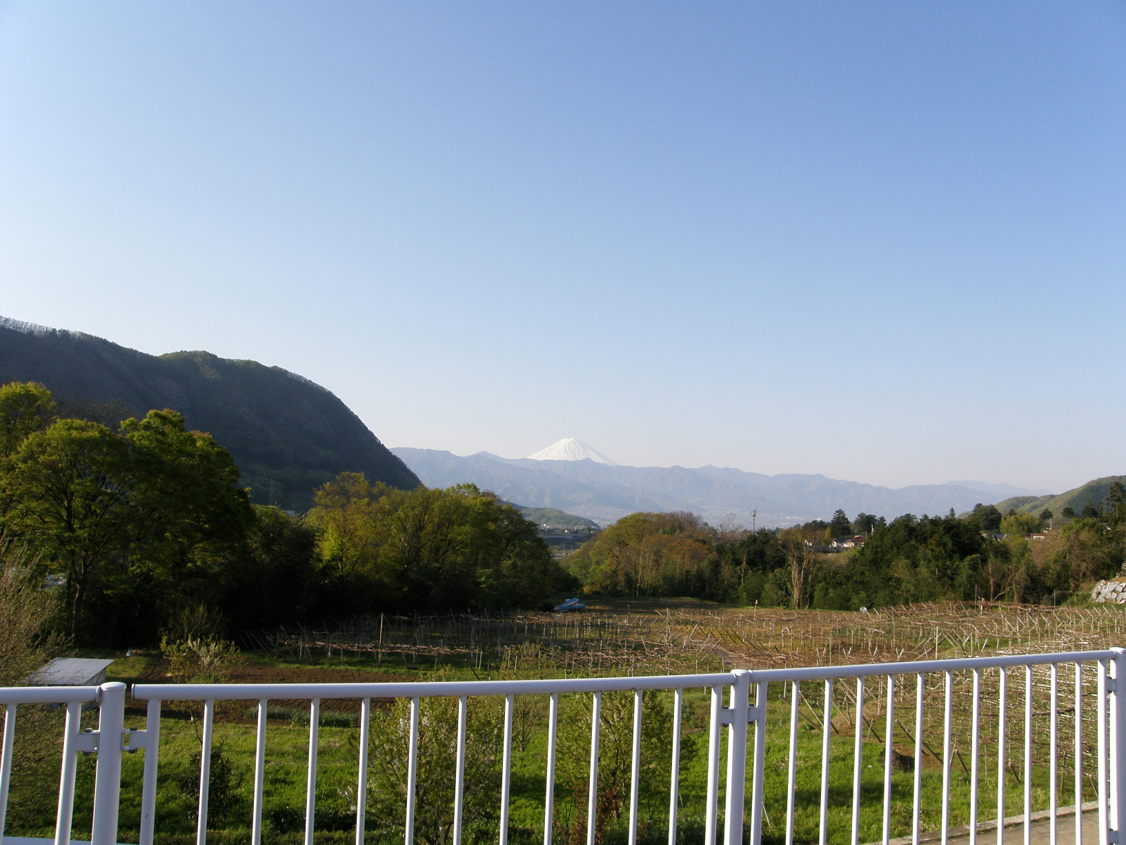 P5015359.jpg