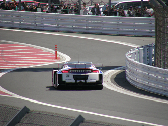P5015394_thumb.png
