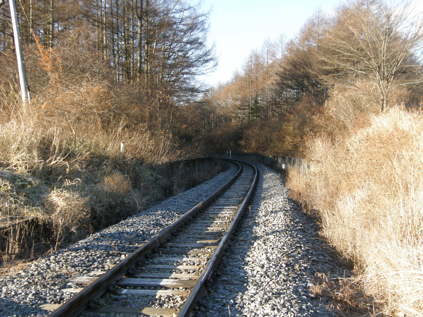 PB207911.jpg