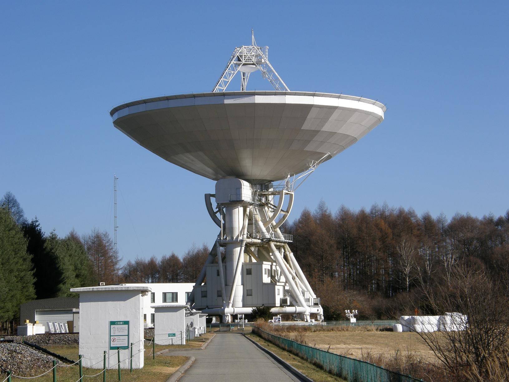 PB207945.jpg