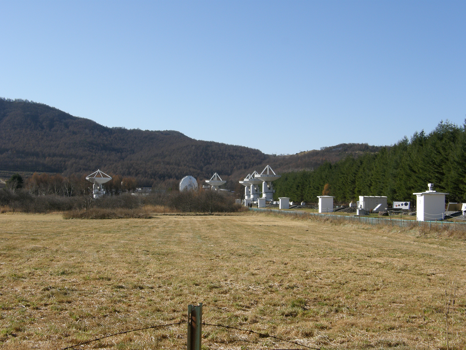 PB207963.jpg