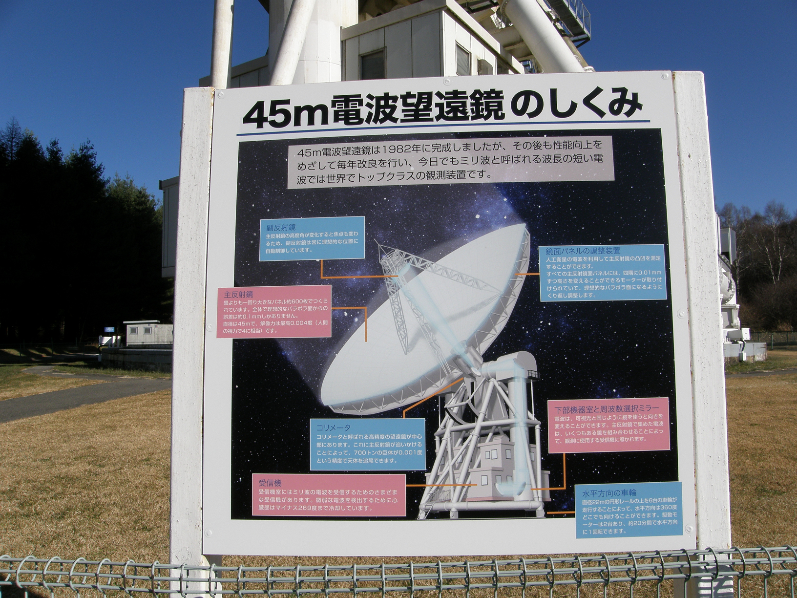 PB207964.jpg
