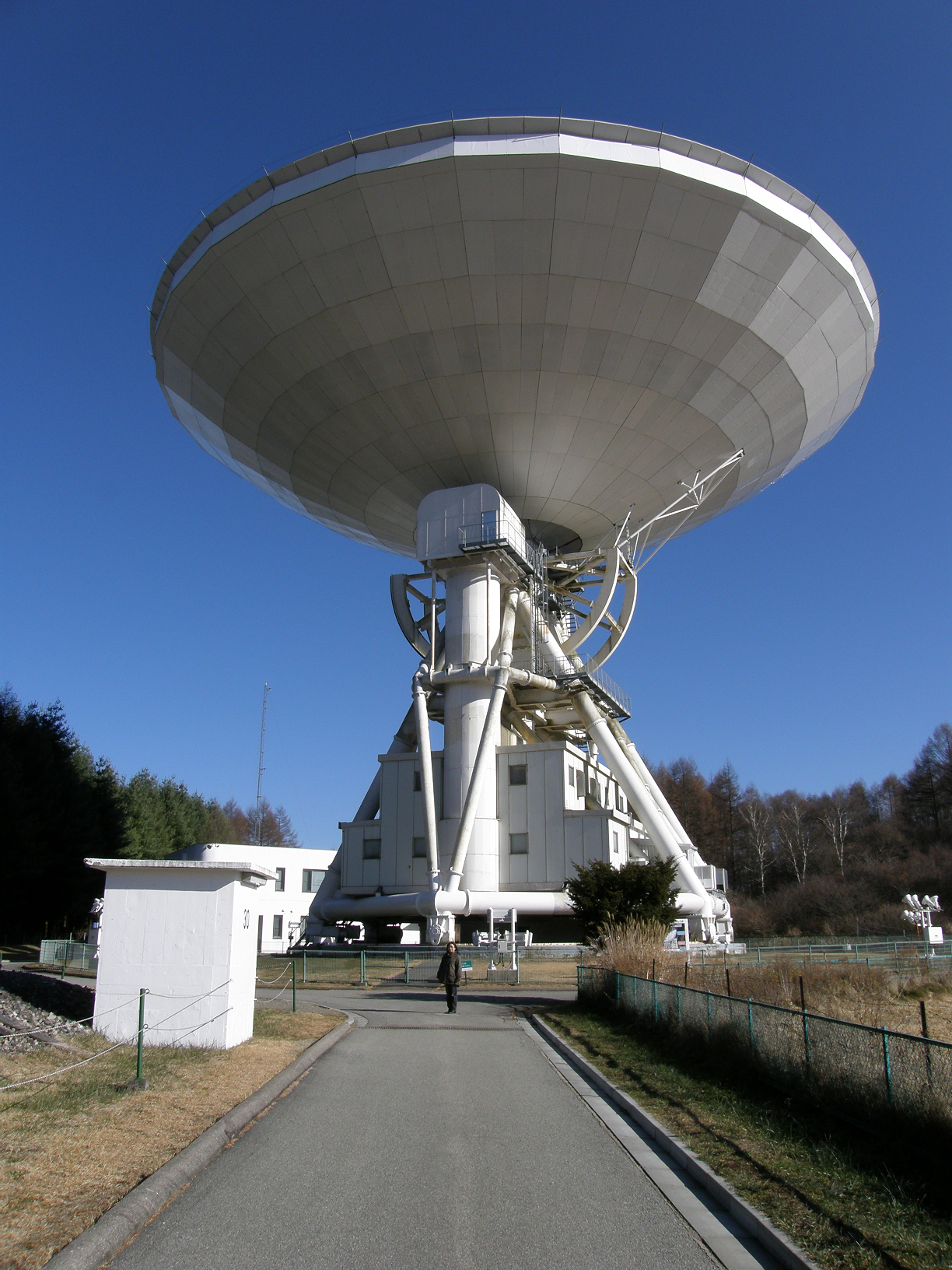 PB207966.jpg