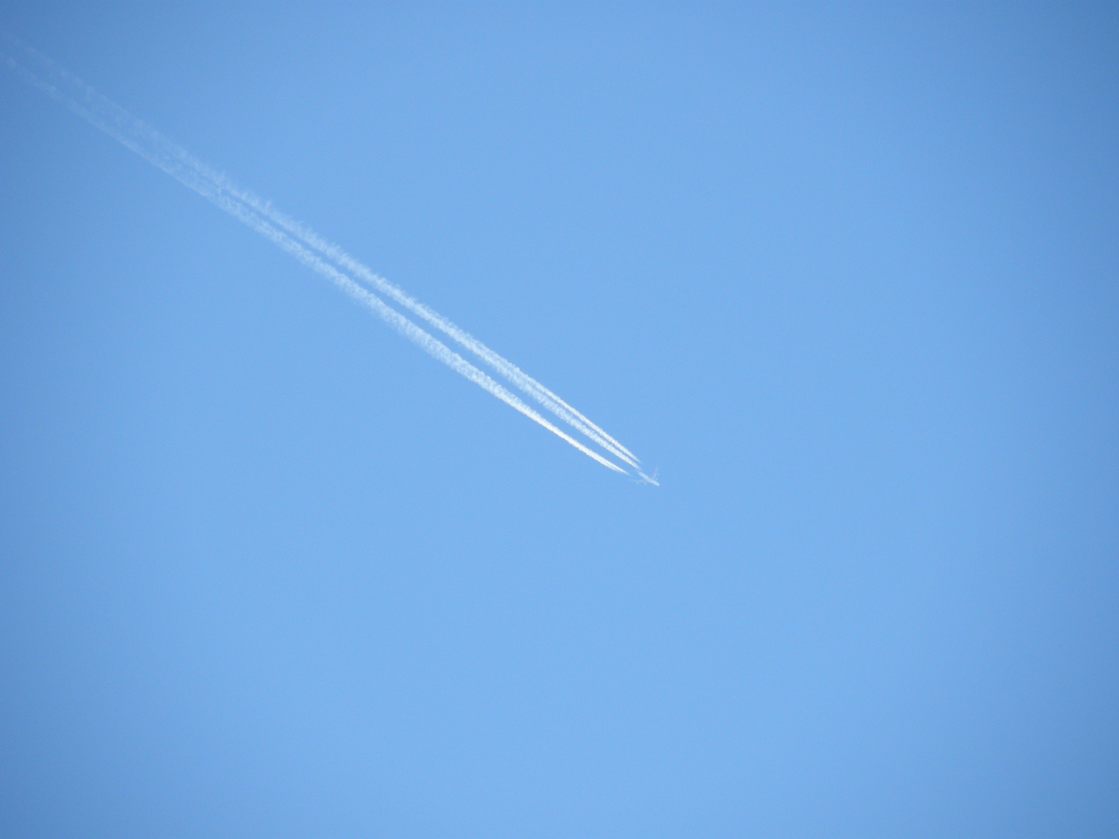 PB207977.jpg