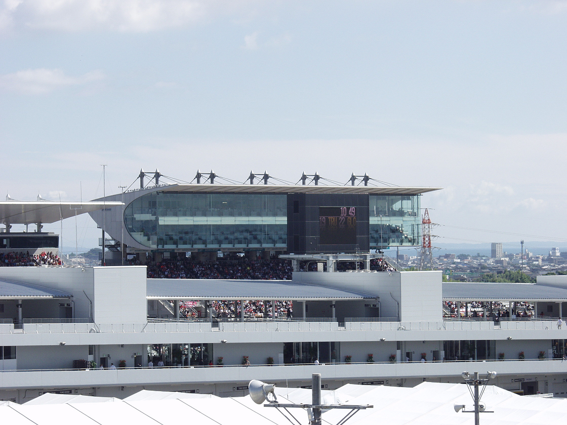 PA100990.jpg
