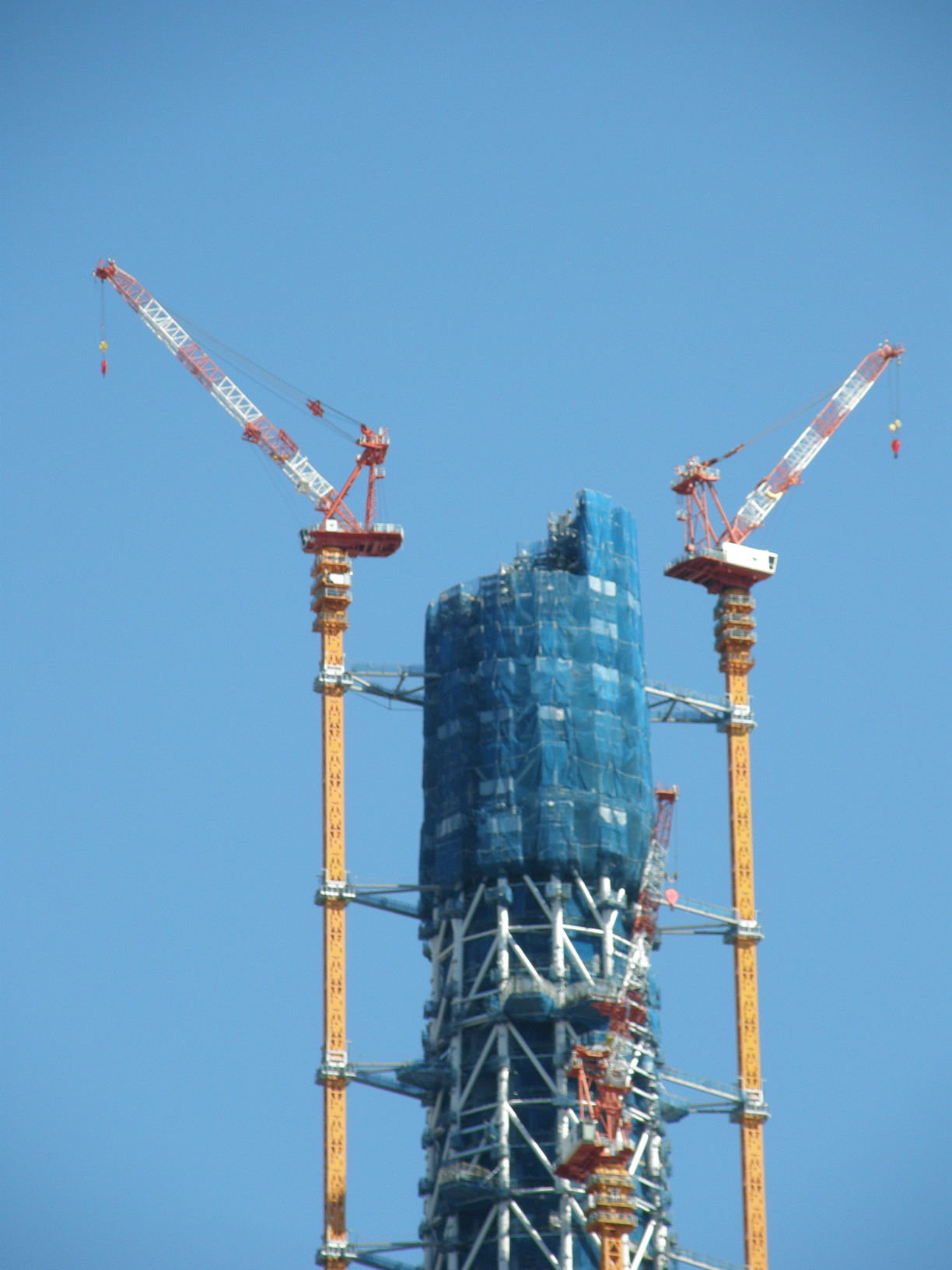 PA117777.jpg
