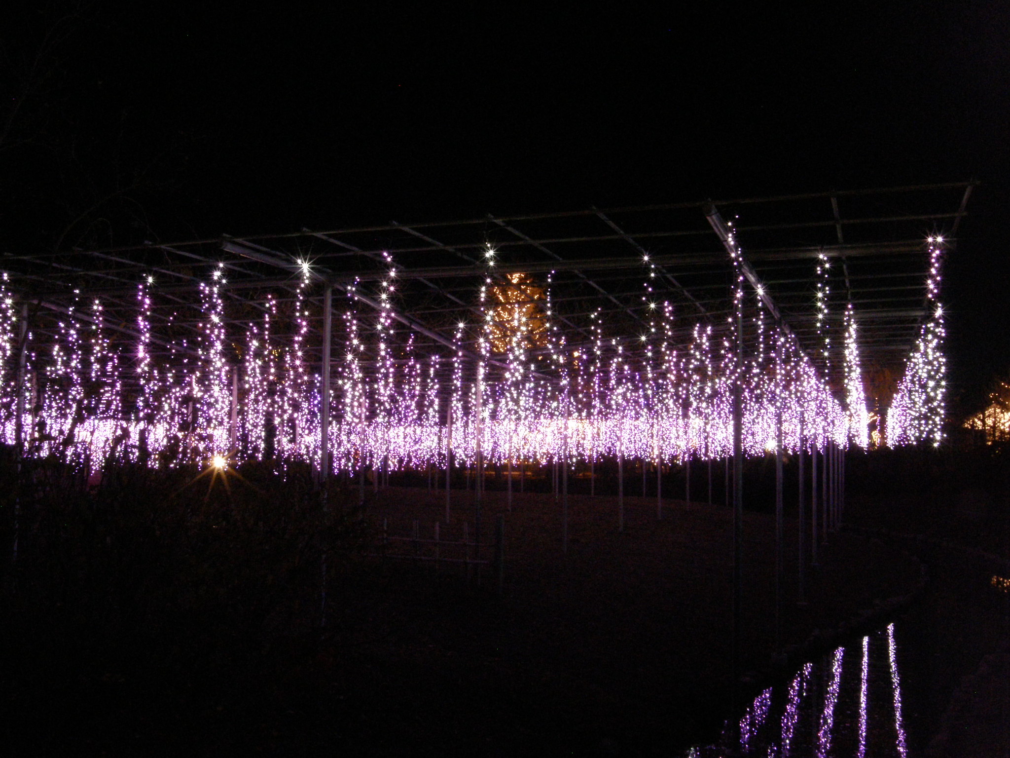 PC048771.JPG