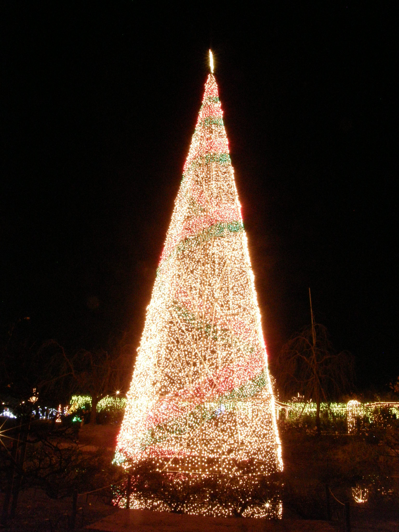PC048774.JPG