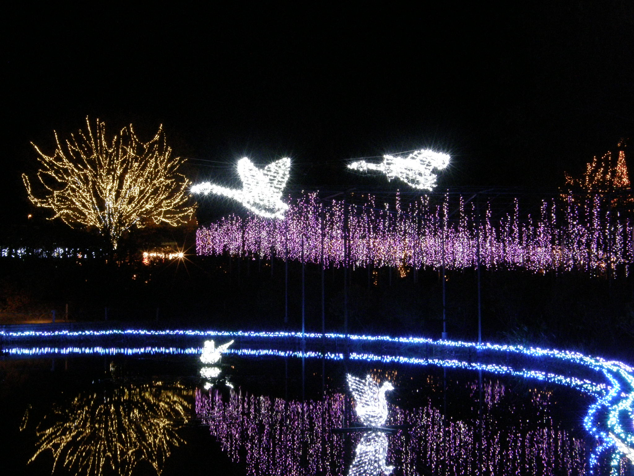PC048778.JPG