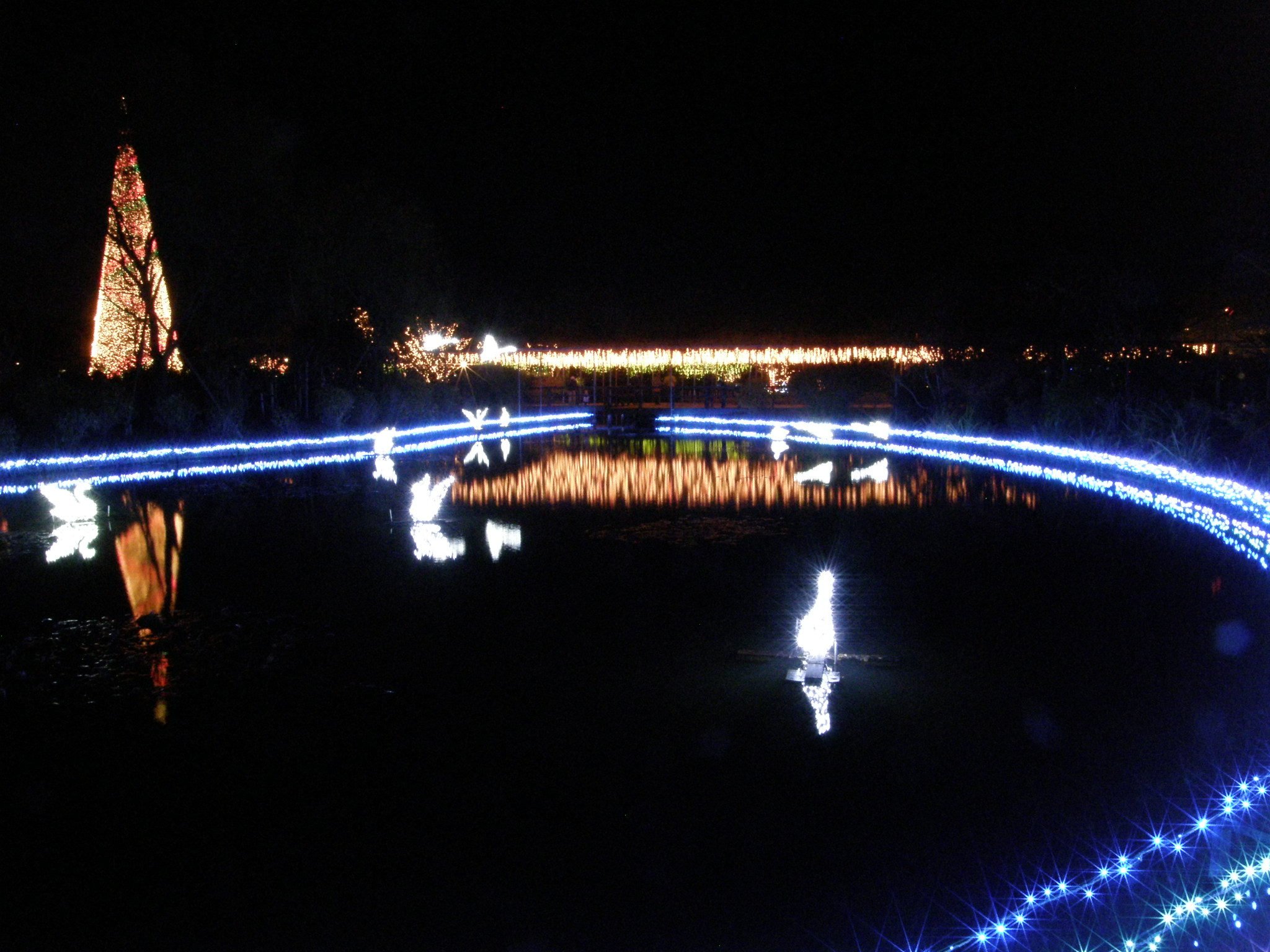PC048785.JPG