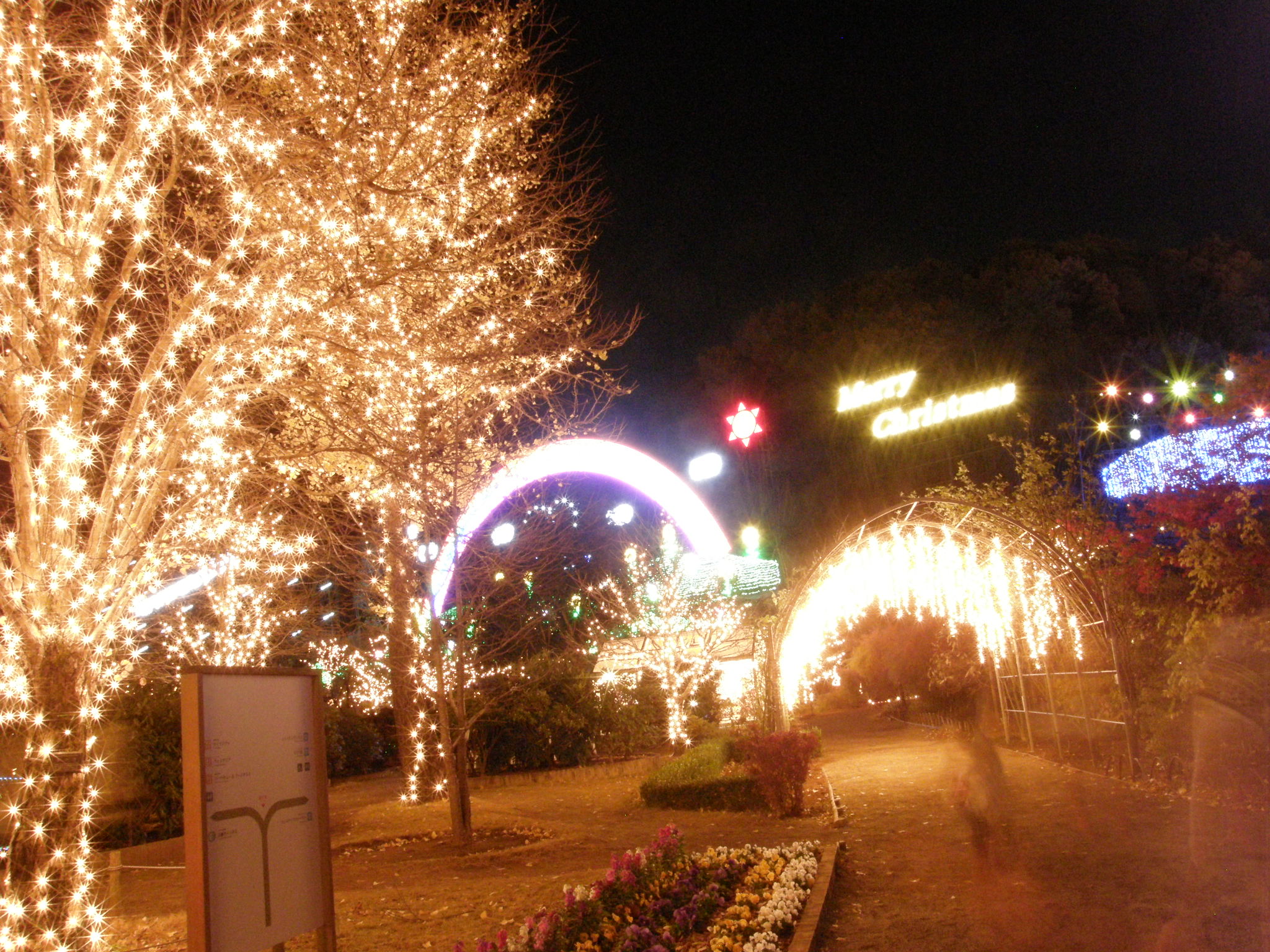 PC048793.JPG