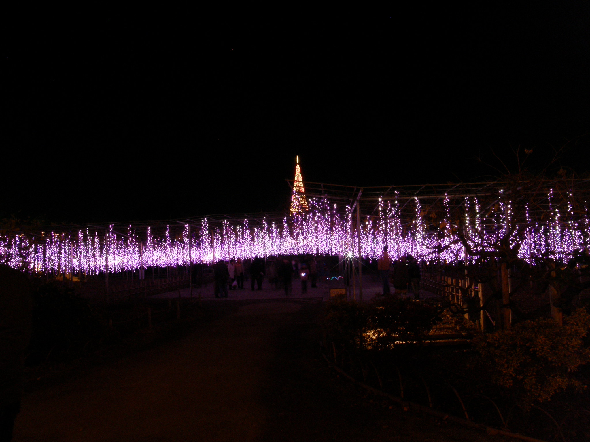 PC048796.JPG