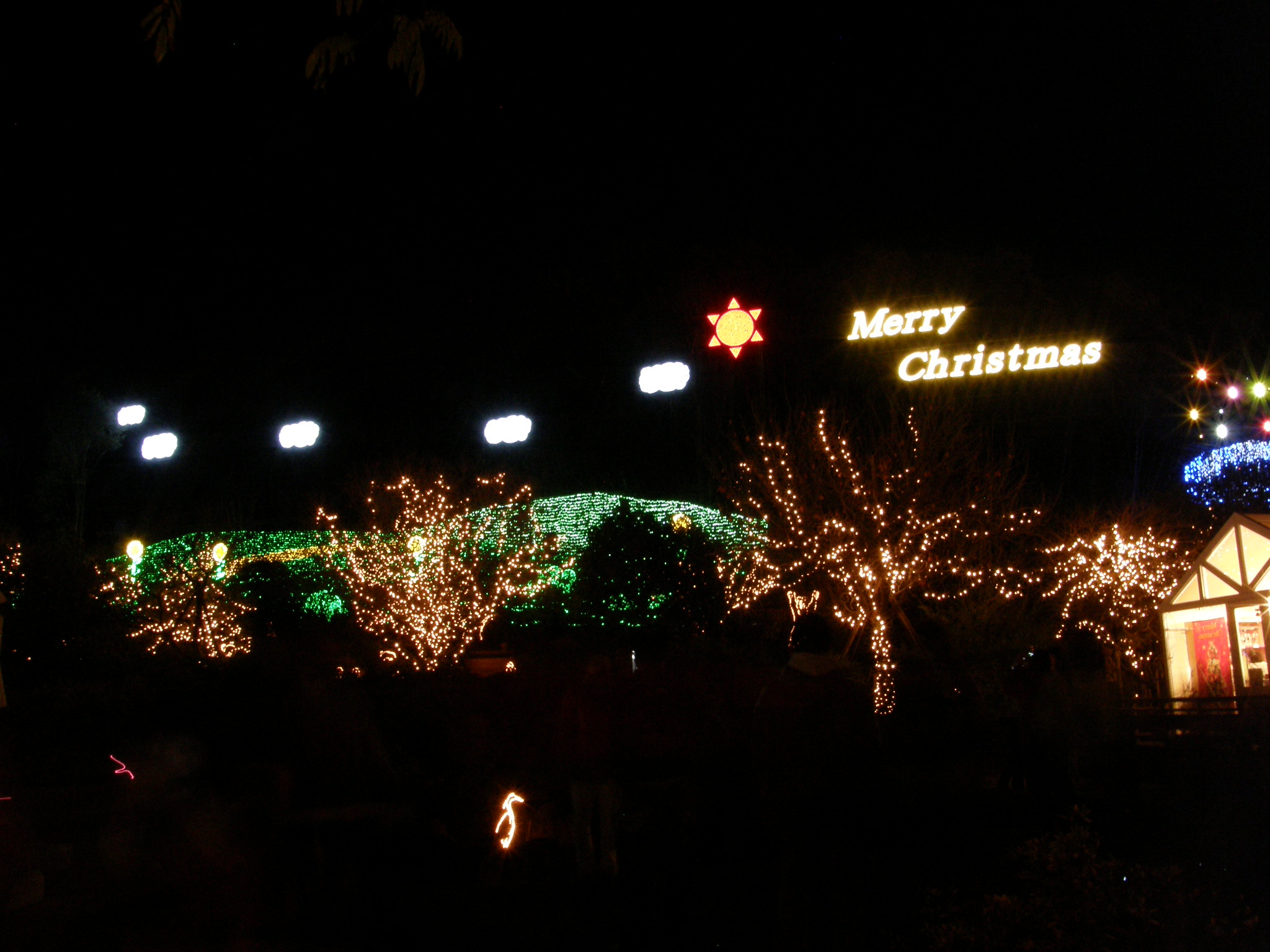 PC048799.JPG