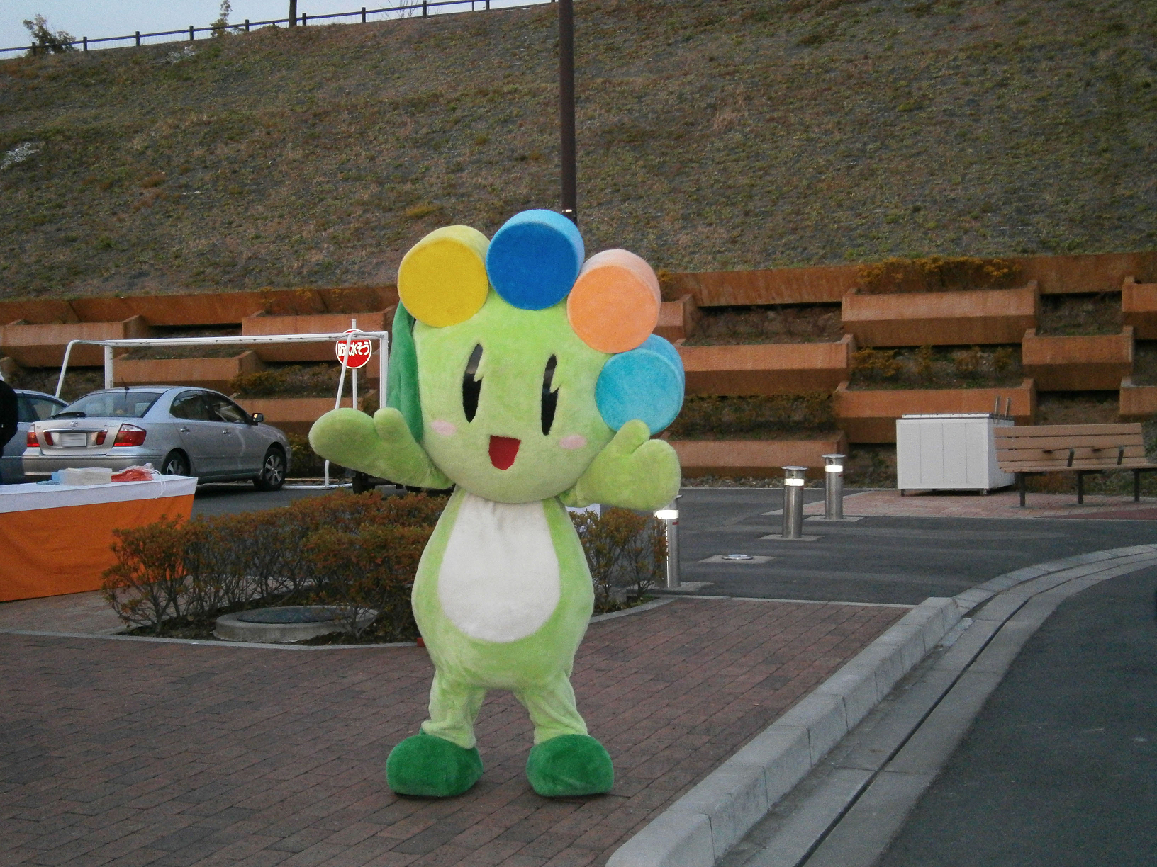 PC100078.jpg