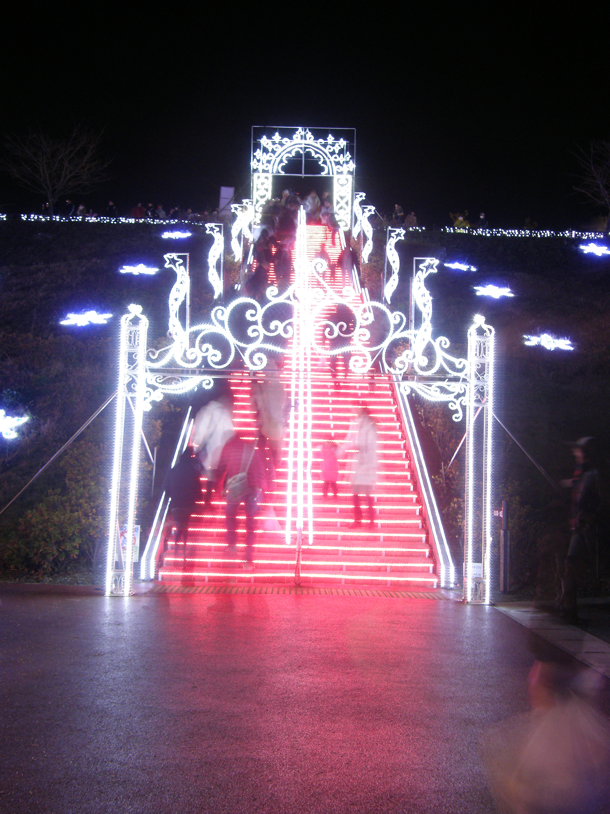 PC108932.jpg