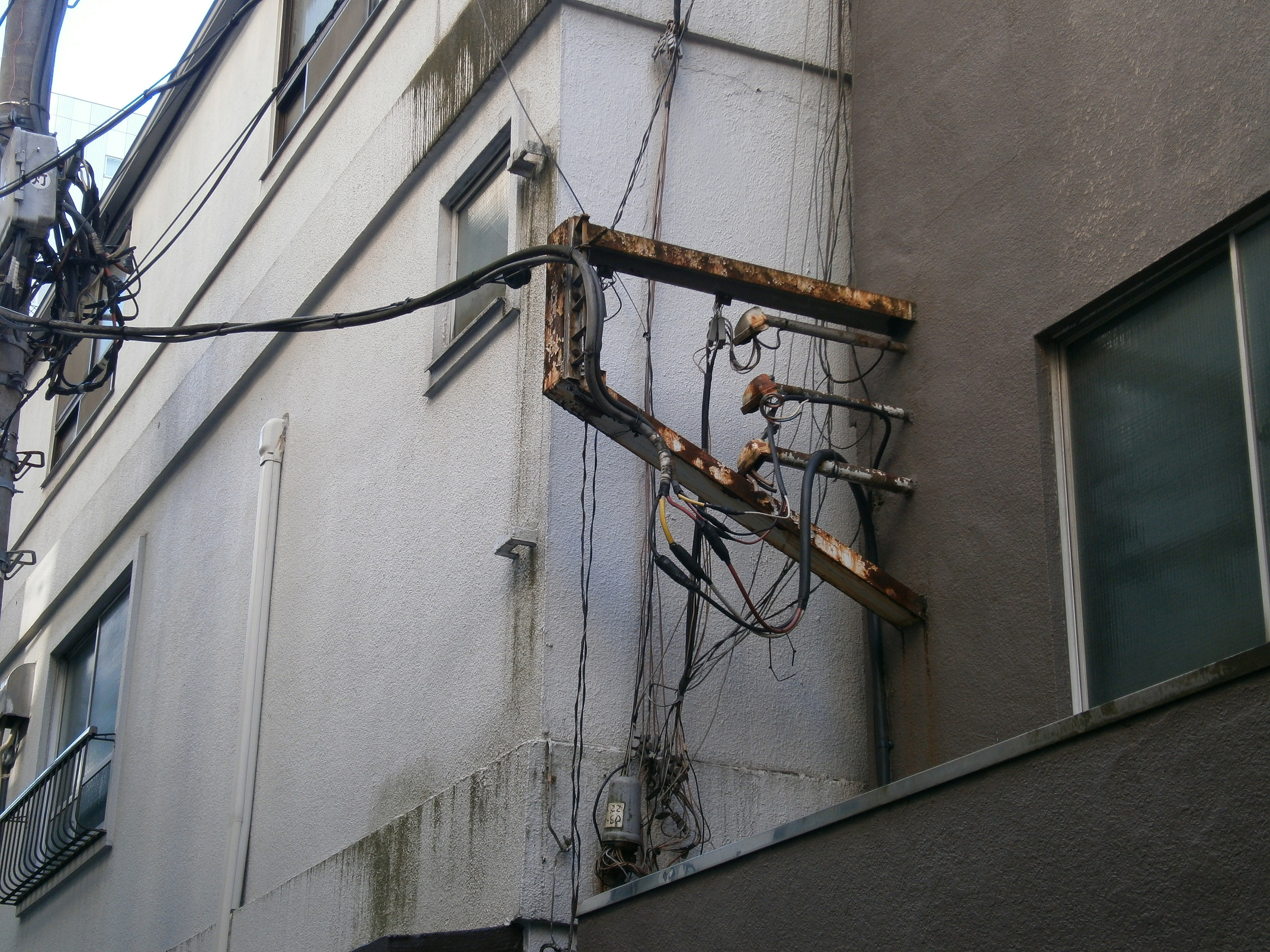 P1090433.jpg