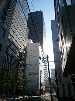 P1090434_thumb.png