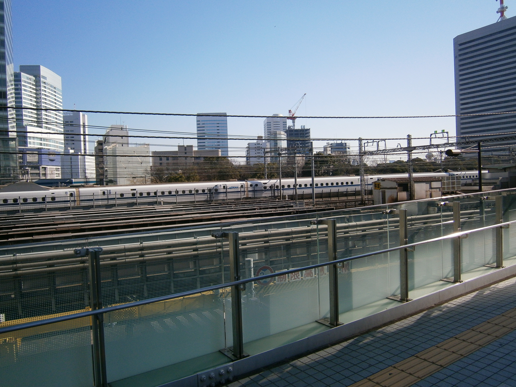 P1090441.jpg