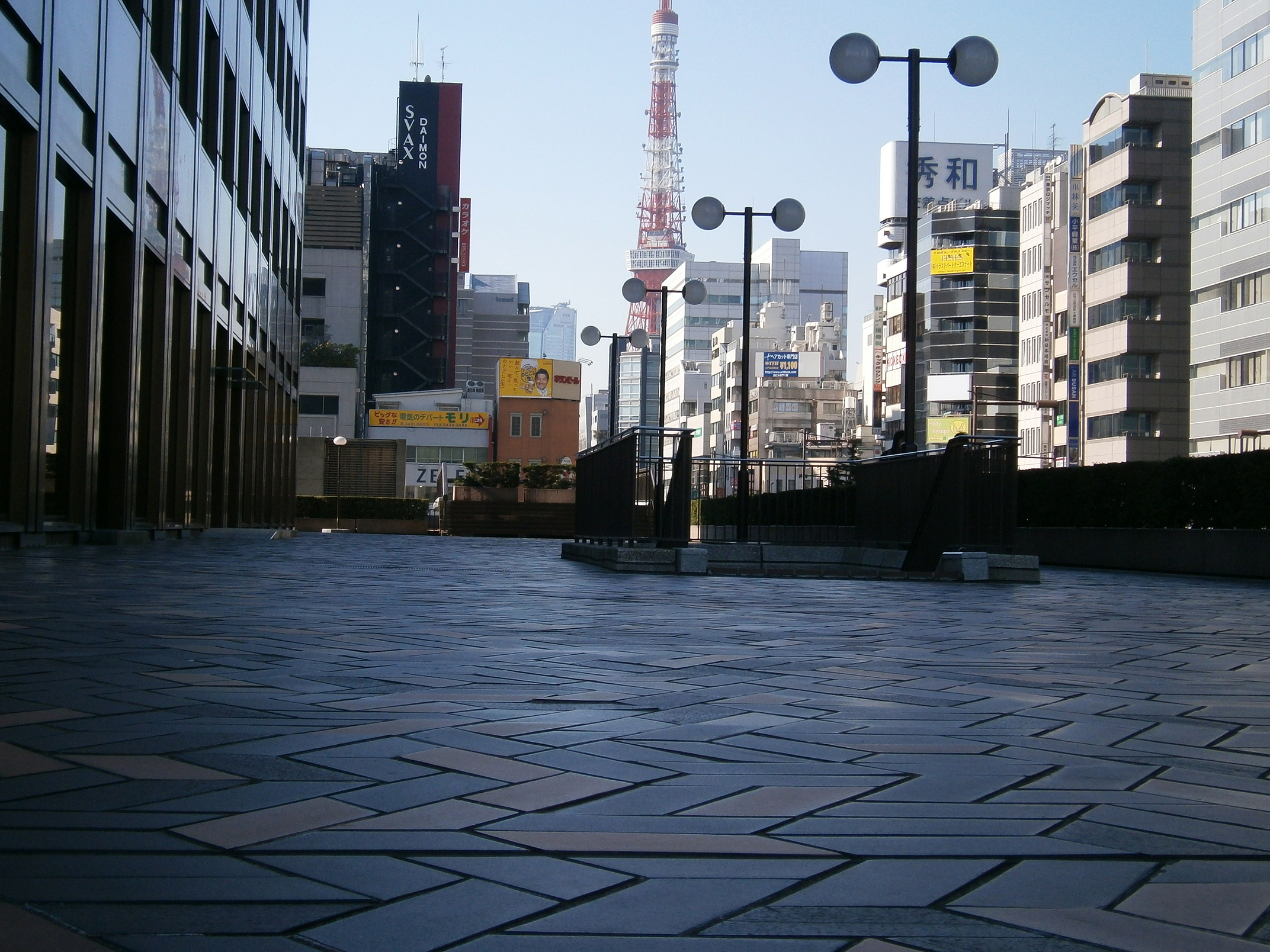 P1090461.jpg
