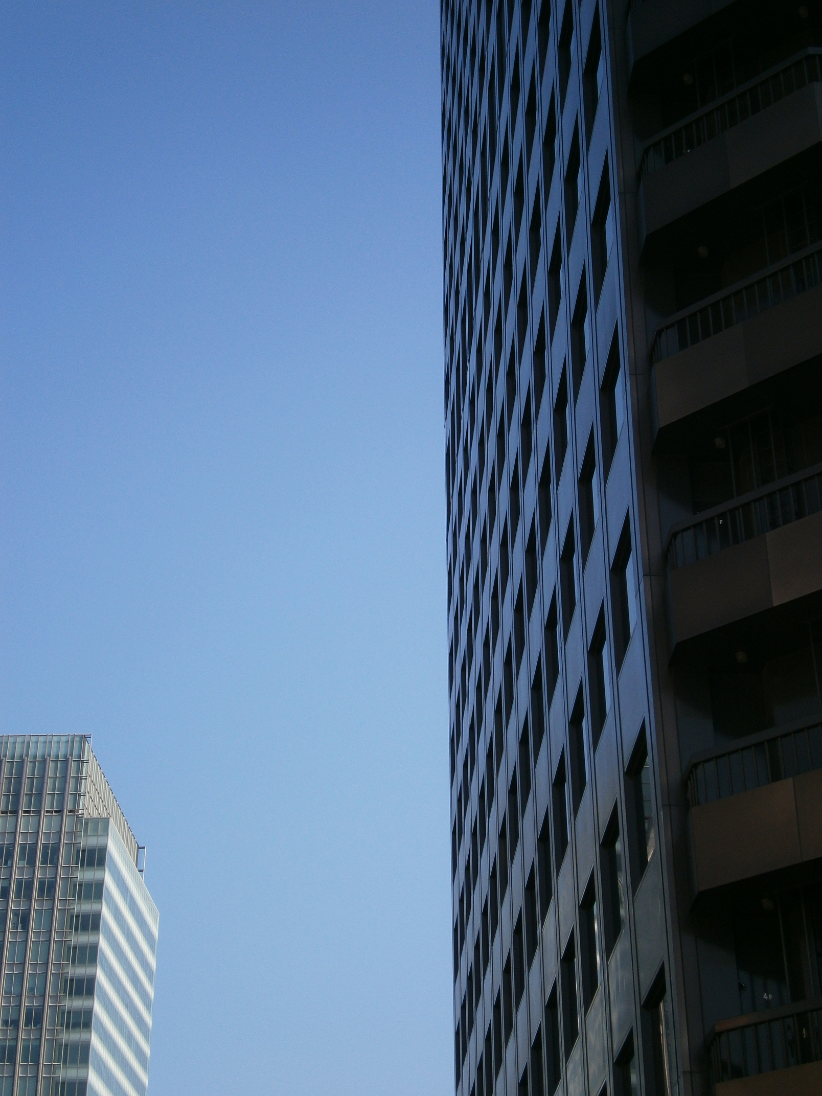 P1090469.jpg