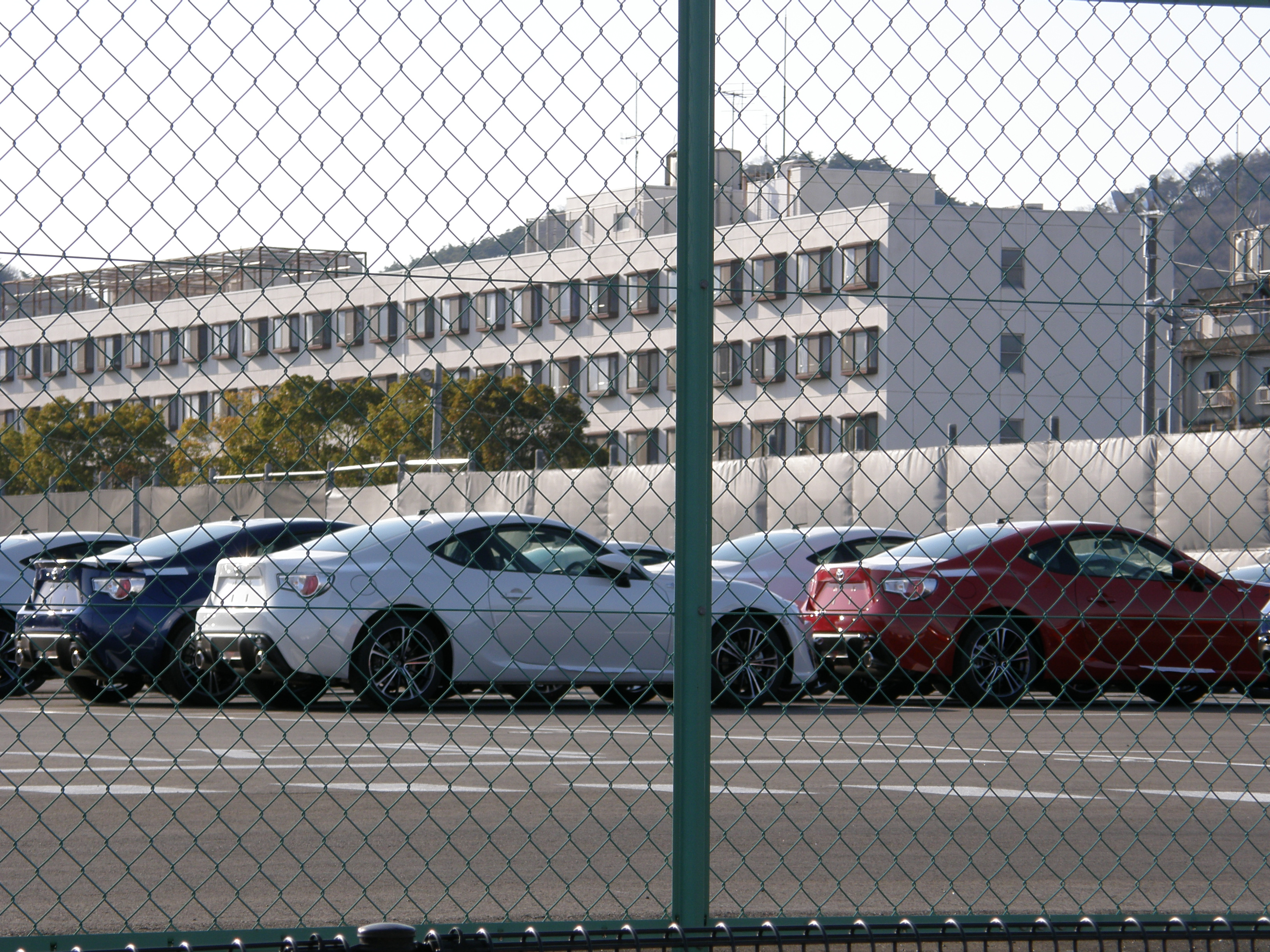 P4079471.JPG