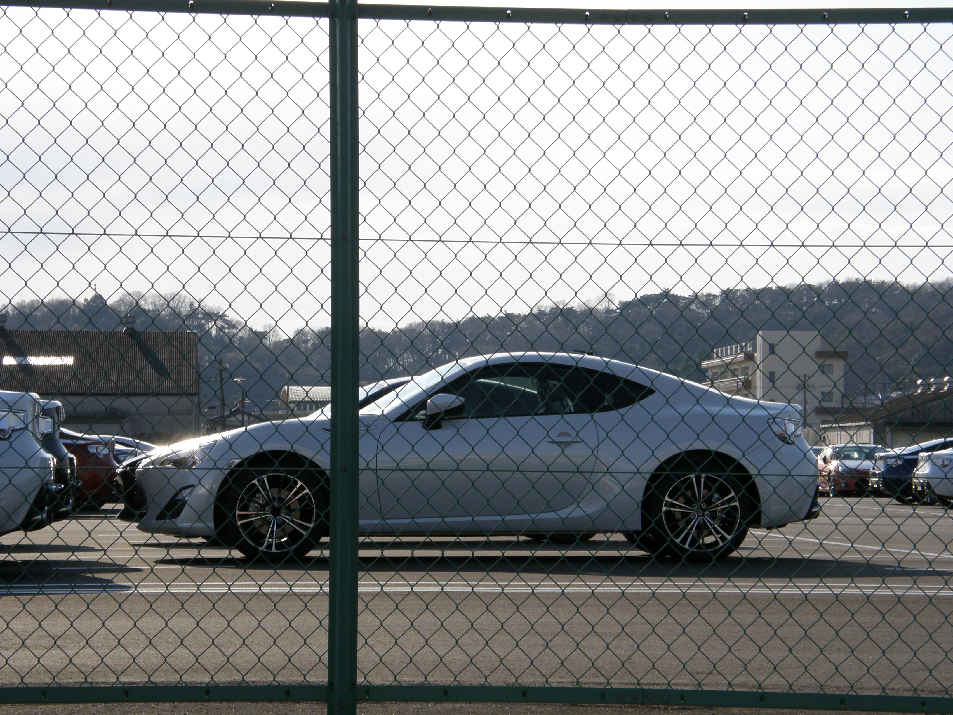 P4079474.JPG