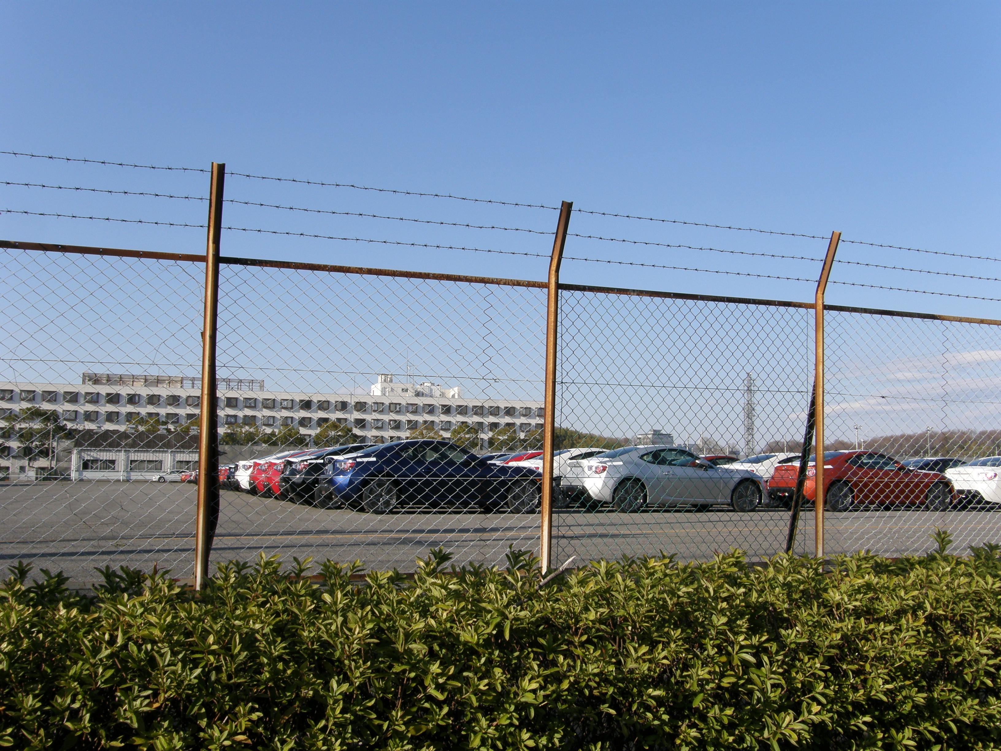 P4079478.JPG