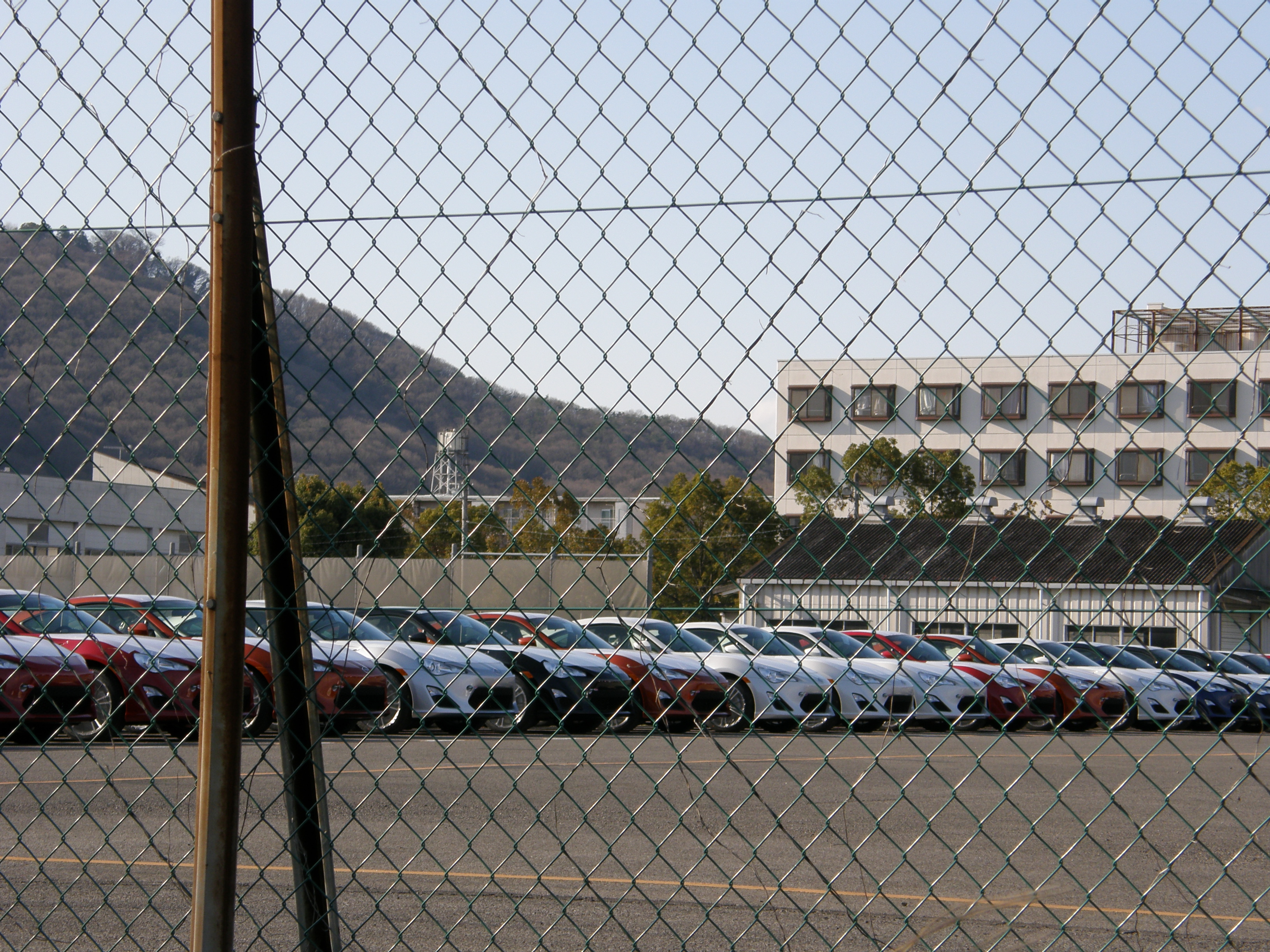 P4079482.JPG