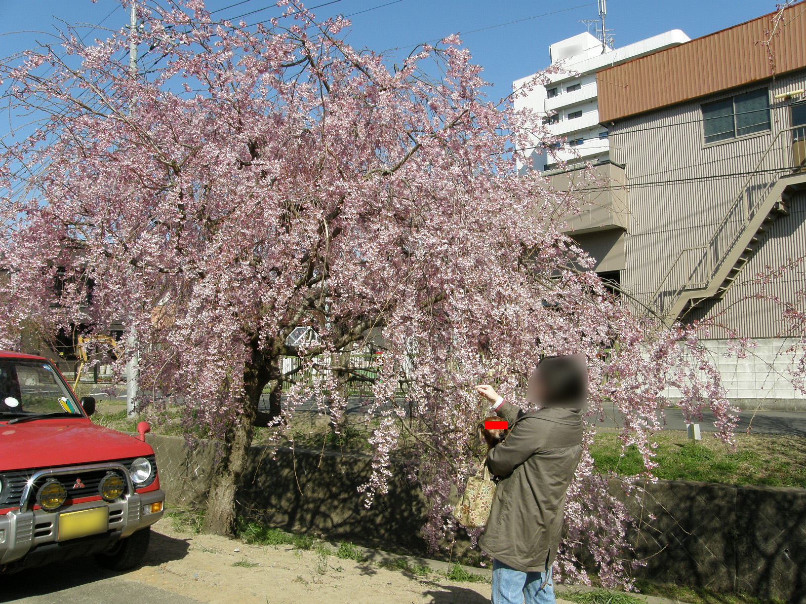 P4089514.jpg