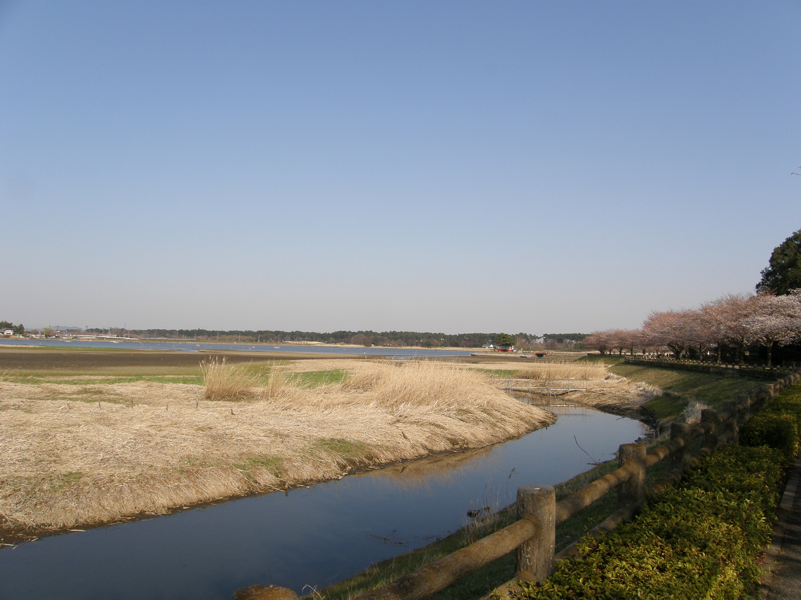 P4089526.jpg