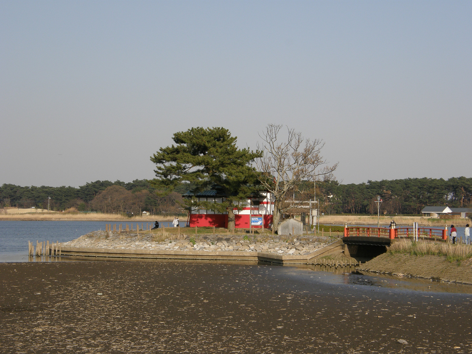 P4089535.jpg