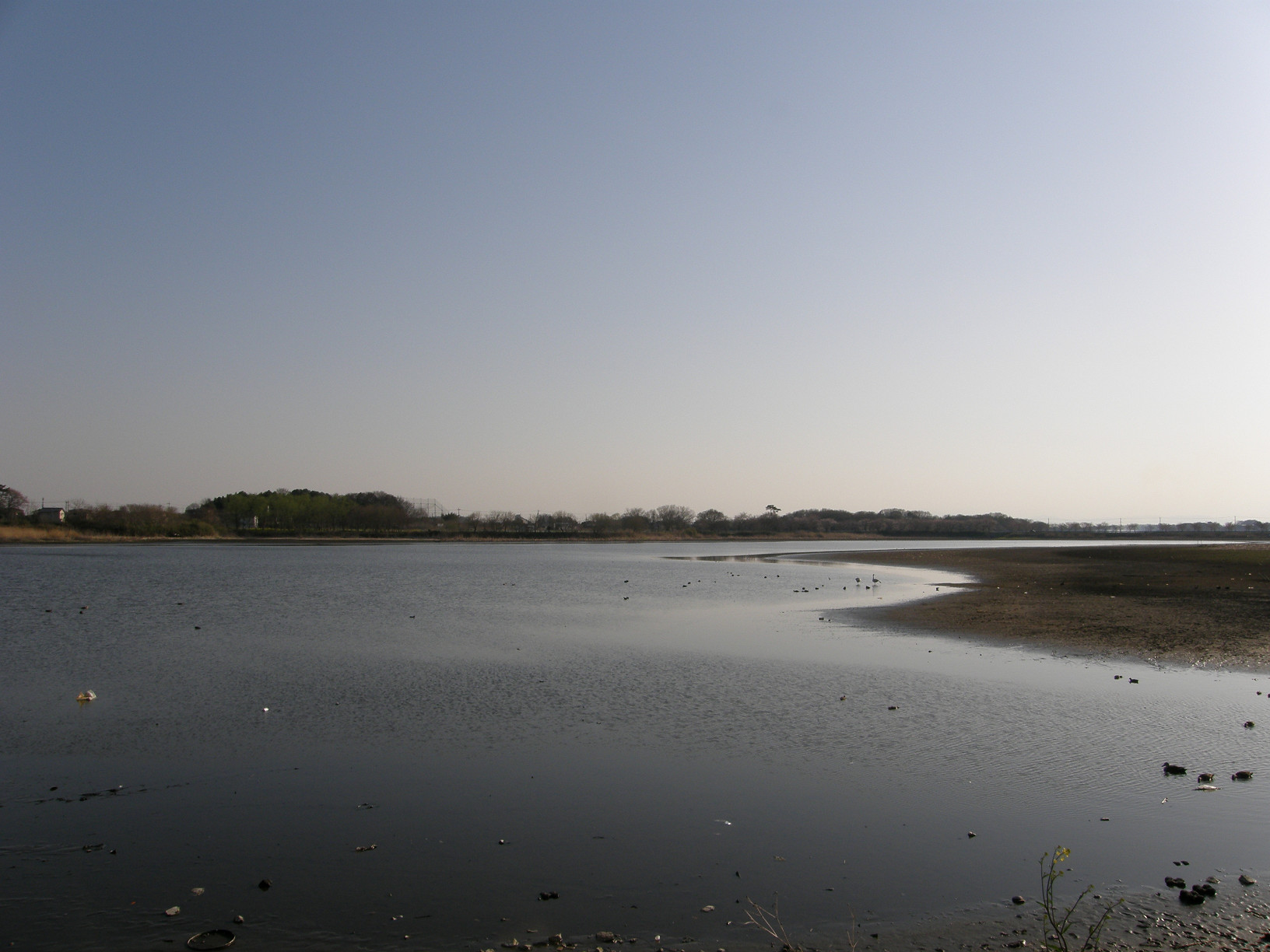 P4089544.jpg
