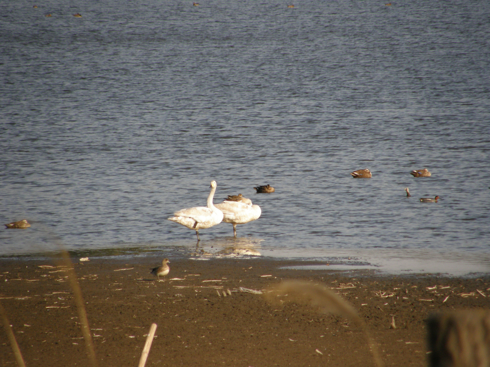 P4089561.jpg
