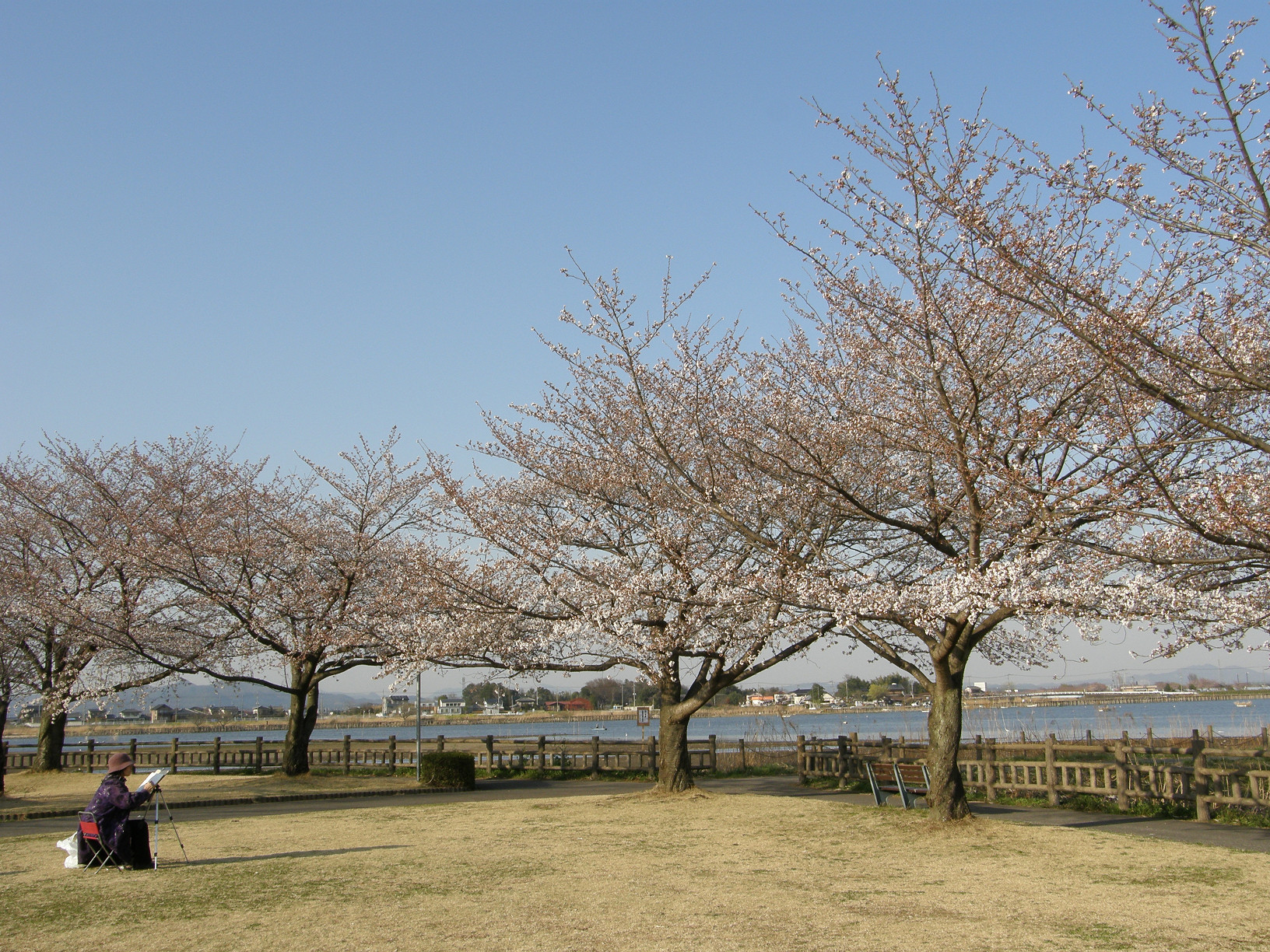 P4089567.jpg